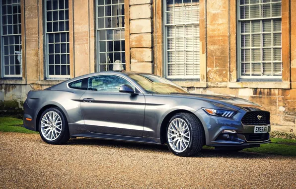 Machine, auto, grey, lights, the building, Windows, Mustang, Ford