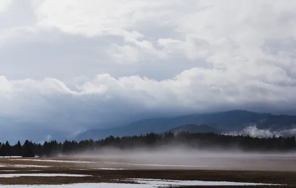 Picture field, forest, the sky, clouds, trees, landscape, mountains, nature