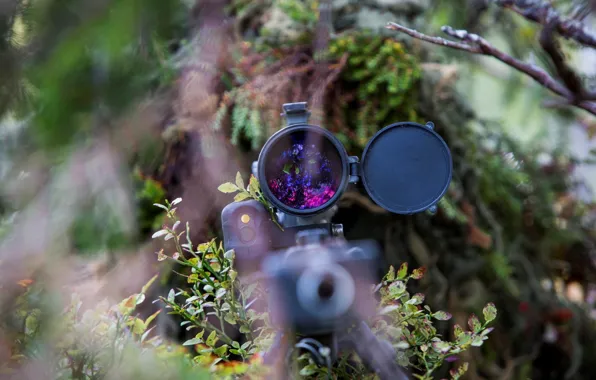 Weapons, army, soldiers