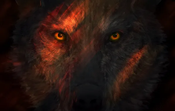 Look, Eyes, Wolf, Face, Art, Art, Wolf, Eyes