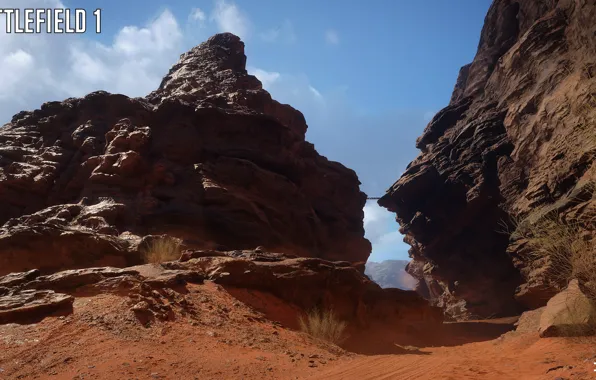 Stones, rocks, desert, Battlefield 1, Sinai Desert