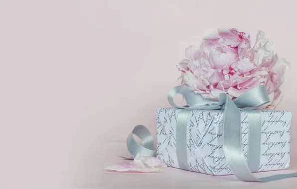 Flowers, birthday, gift, Morganval