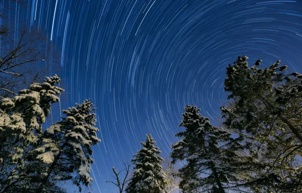 Picture the sky, stars, trees