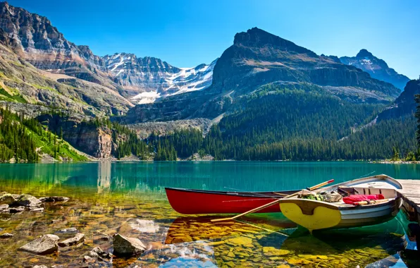Forest, the sky, the sun, trees, mountains, lake, stones, rocks