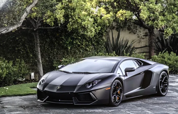 Lamborghini, black, aventador