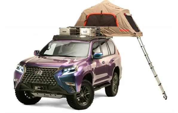 Picture Concept, Lexus, Lexus, white background, tent, equipment, Lexus GX460 Overland