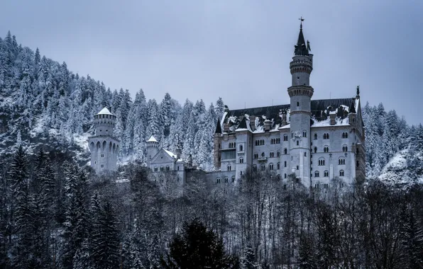 Winter, forest, castle, Germany, Bayern, Germany, Bavaria, Neuschwanstein Castle