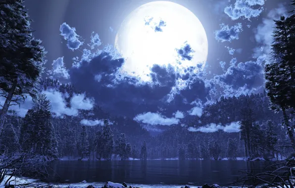 Picture forest, night, nature, lake, the moon
