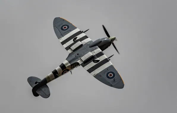 Fighter, war, British, Spitfire, times, The second world