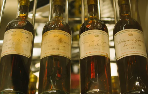 Picture wine, bottle, drink