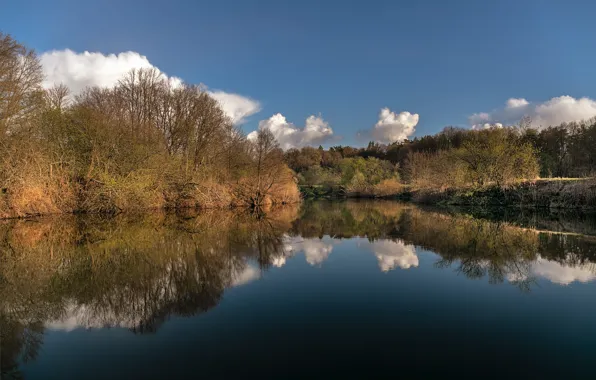Forest, the sky, lake, dereja, pond, shrub, a quiet place