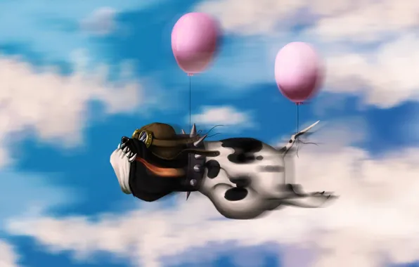 The sky, clouds, balloons, Dog, pilot, flight