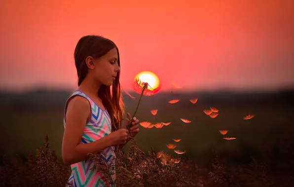 Picture the sun, sunset, dandelion, girl