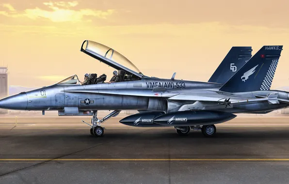 Figure, art, hornet, Douglas, Hornet, McDonnell, double training-combat variant, F/A-18D