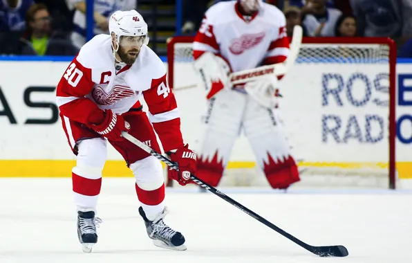 The game, Sport, Ice, Ice, Detroit, NHL, NHL, Hockey