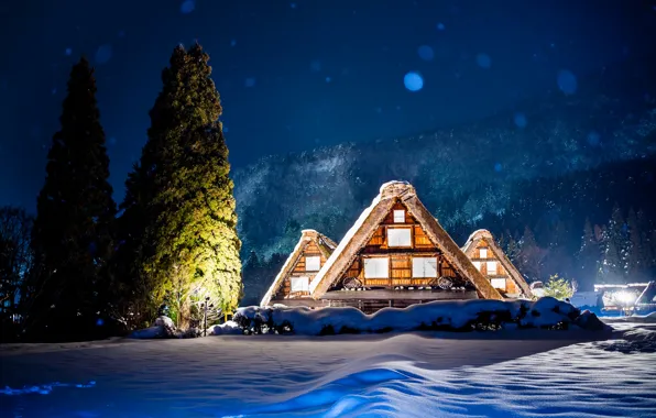 Winter, snow, trees, mountains, night, lights, house, Japan