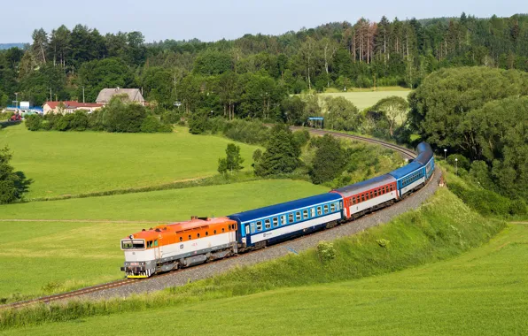 Field, forest, train, cars, Czech Republic, railroad, railroads