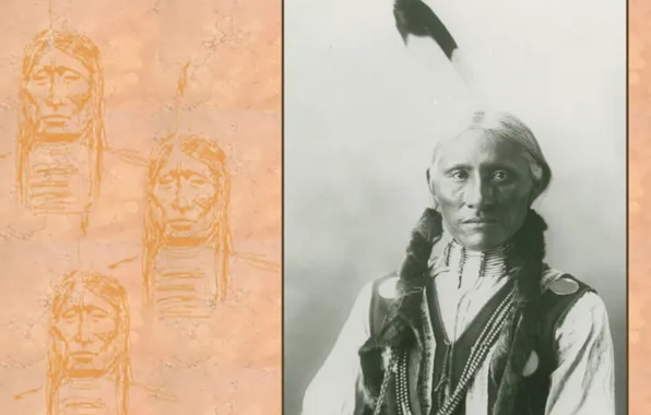 Picture indian, chief, proud, native american, first people, White Buffalo