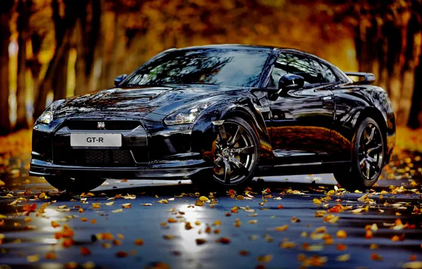 Auto, autumn, leaves