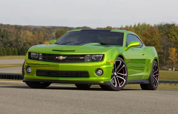 Picture car, green, Chevrolet, Camaro, front, Hot Wheels