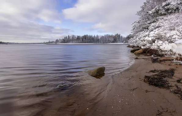 Winter, lake, shore