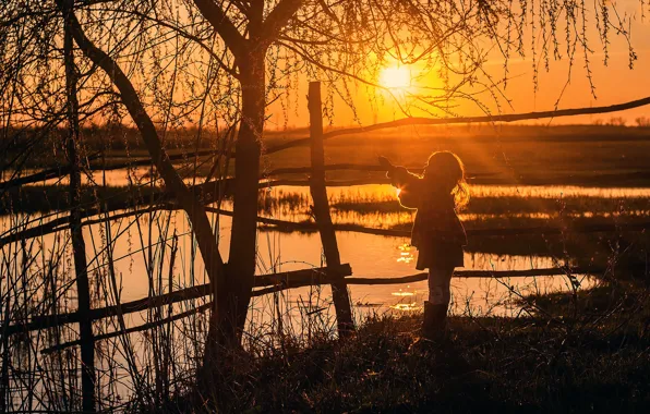Picture the sun, trees, silhouette, girl