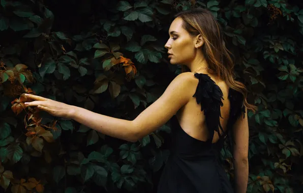 Leaves, girl, pose, the dark background, foliage, back, hand, wings