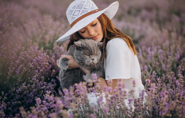 Cat, summer, cat, look, face, girl, flowers, pose