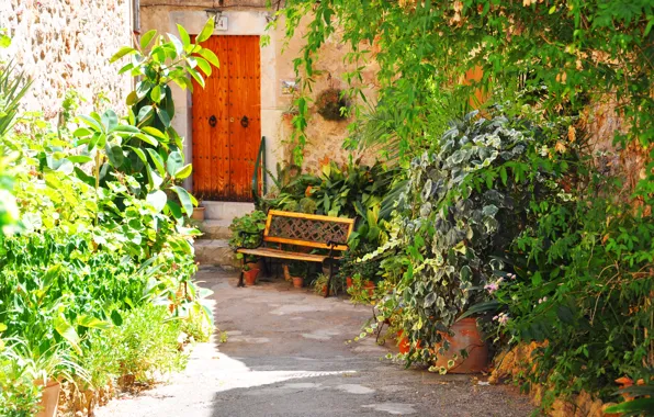 Picture flowers, the city, shop, shop, Valldemossa