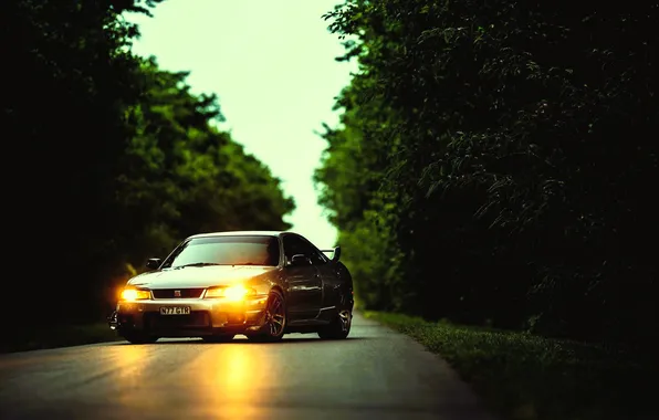 Road, forest, trees, highway, Nissan, Silvia, Nissan, Nissan Silvia