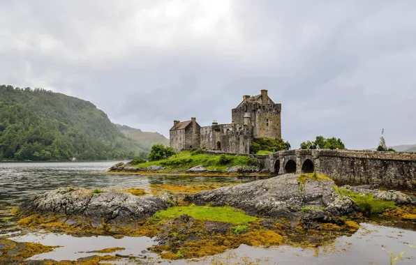 Forest, mountains, bridge, lake, castle, Scotland, Eilean Donan