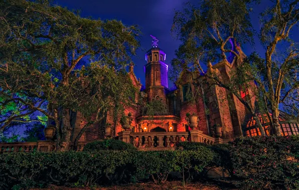 Trees, night, design, lights, Park, castle, lights, CA