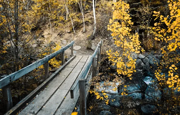 Picture landscape, bridge, autumn, Colorado