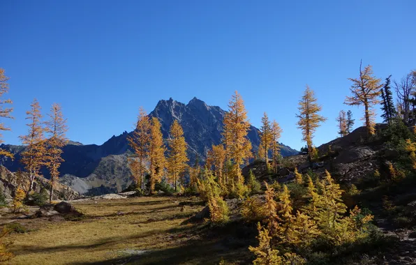 Picture autumn, the sky, trees, mountains