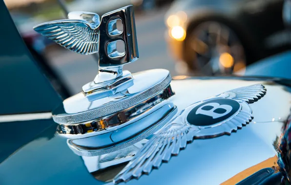 Macro, sign, Bentley, emblem