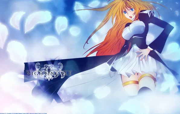 Picture blue eyes, Sekirei, blonde, tsukiumi