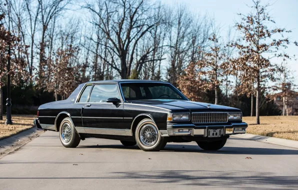 Coupe, Chevrolet, black, chevrolet, coupe, classic, caprice, 1987