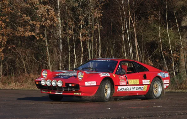 Ferrari, Ferrari, Red, GTB, 308, Rally, Rally, Group B