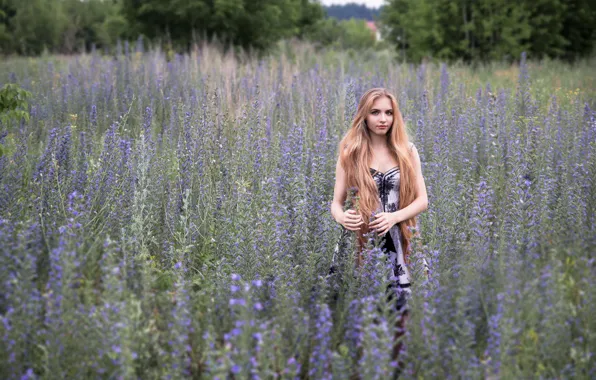 Picture field, summer, girl, long hair, Tatiana Kadyrova, Pauline Ananiev