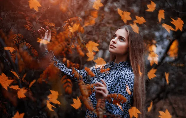 Autumn, look, leaves, girl, pose, branch, dress, Sergey Piltnik