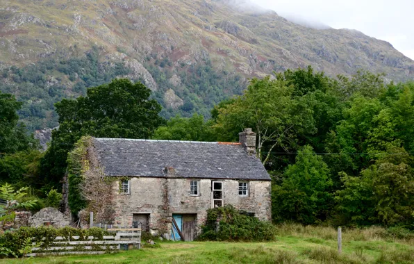Picture forest, trees, mountains, home, Scotland, abandoned, Taynuilt
