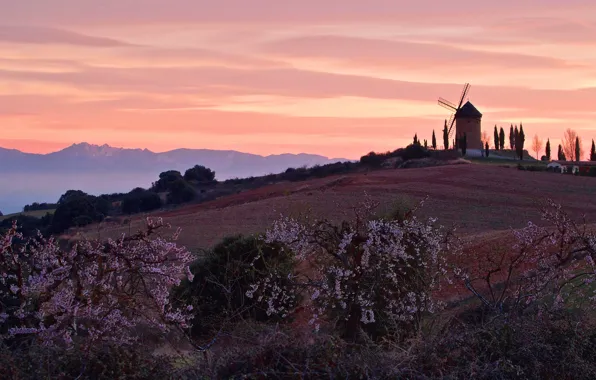 Picture the sky, trees, sunset, hills, spring, the evening, garden, mill