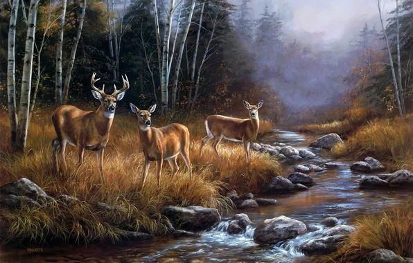 Forest, landscape, fog, river, stream, October, painting, deer