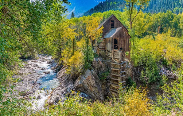 Autumn, forest, trees, river, Colorado, water mill, Colorado, Crystal Mill