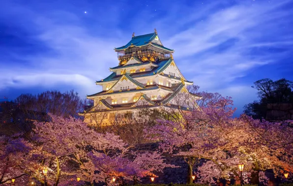Picture castle, beauty, Japan, lighting, Himeji Castle in Osaka