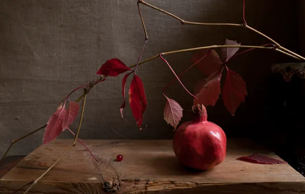 Leaves, branches, stems, Board, fruit, still life, garnet, parthenocissus