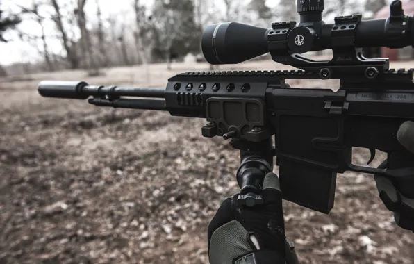 Weapons, machine, optics, MK36H