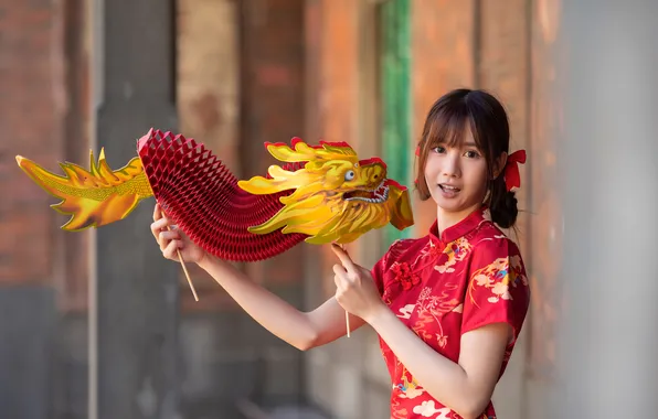 Look, pose, model, dragon, portrait, hands, makeup, dress