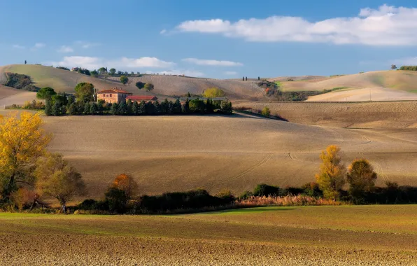 Field, autumn, clouds, trees, nature, comfort, house, blue