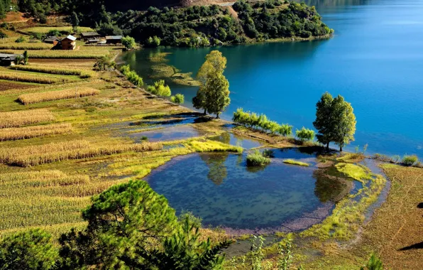 GREENS, POND, TREES, The VILLAGE, VILLAGE, HOME, FIELD, BEAUTY